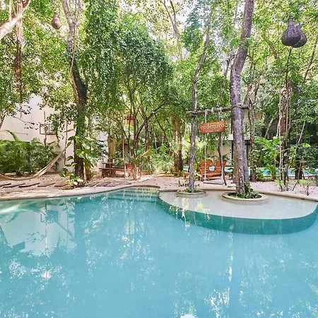 Jungle Penthouse With Private Rooftop Pool